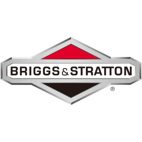 Briggs & Stratton